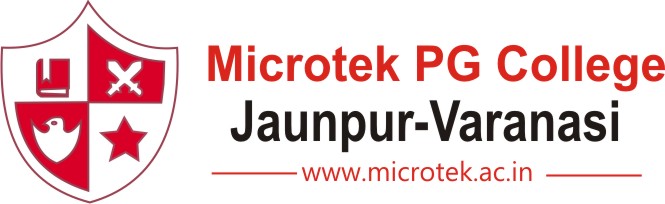 Logo: Microtek Institute